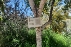 6_QR-Codes-Blurred-2nd-Pedieos-River-Festival