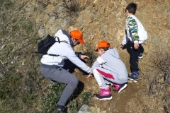 tree planting