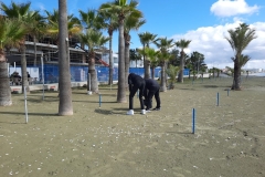 20230320_094345_res