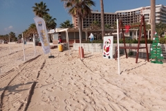 IMG_20231217_104417_res