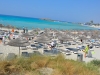 DSC0062