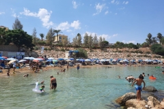 IMG-20220822-WA0003