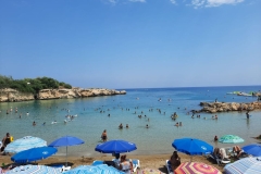 IMG-20220822-WA0014