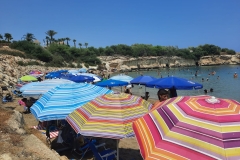 IMG-20220822-WA0070