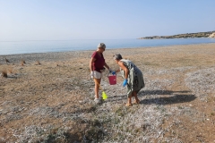 IMG-20221026-WA0009
