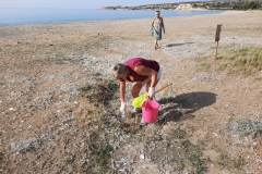 IMG-20221026-WA0010
