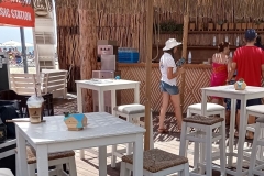 IMG_20230812_115029_cropped