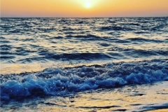 Halasz-Bianka-The-sea-is-getting-sicker-let-_s-do-something-quicker