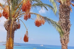 Ivaylo-Kotev-Always-clean-ang-keep-our-sea-and-beaches-and-we-always-will-have-a-beautiful-island