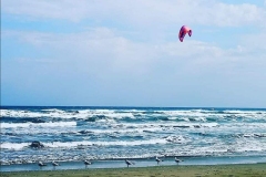 Lefkia-Kokkini-We-love-and-protect-our-beauty