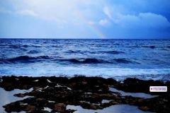 Pavlina-Andronikou-The-ocean-isn_t-the-world_s-trash-can