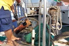 Sea-bch-cleaning-campaign-11.11-1