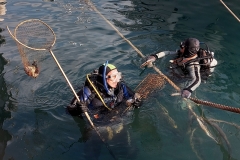Sea-bch-cleaning-campaign-11.11-2