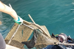Sea-bch-cleaning-campaign-11.11-27