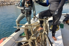 Sea-bch-cleaning-campaign-11.11-4