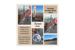 Tourism Cares Cards - 15
