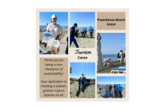 Tourism Cares Cards - 25
