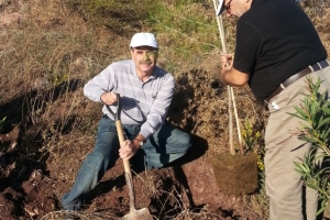 Tree planting 19.10.2013